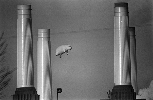1976 pig battersea power station pink floyd photo shoot