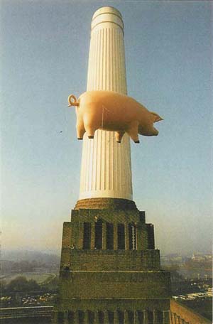 pig chimney